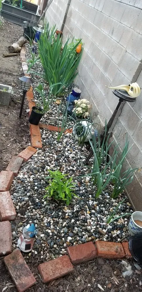 Professional landscape installation in North Highlands, CA by Gruntz