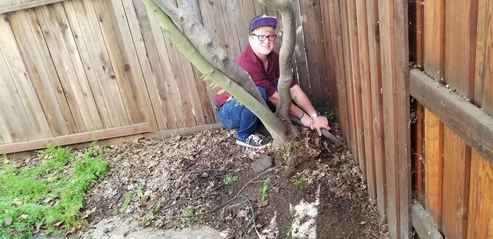 Local landscape design for year-round maintenance across North Highlands, CA - Gruntz