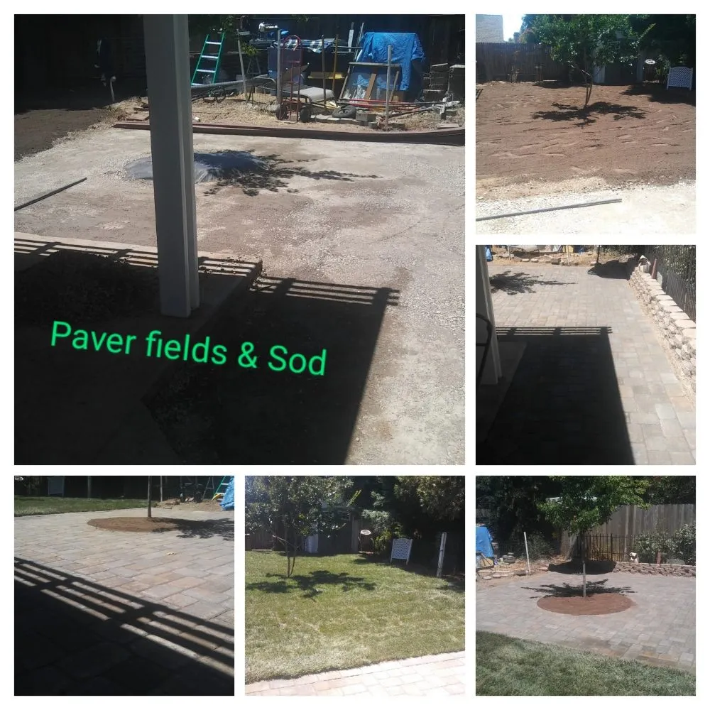 Top-rated lawn care service in North Highlands, CA by Gruntz