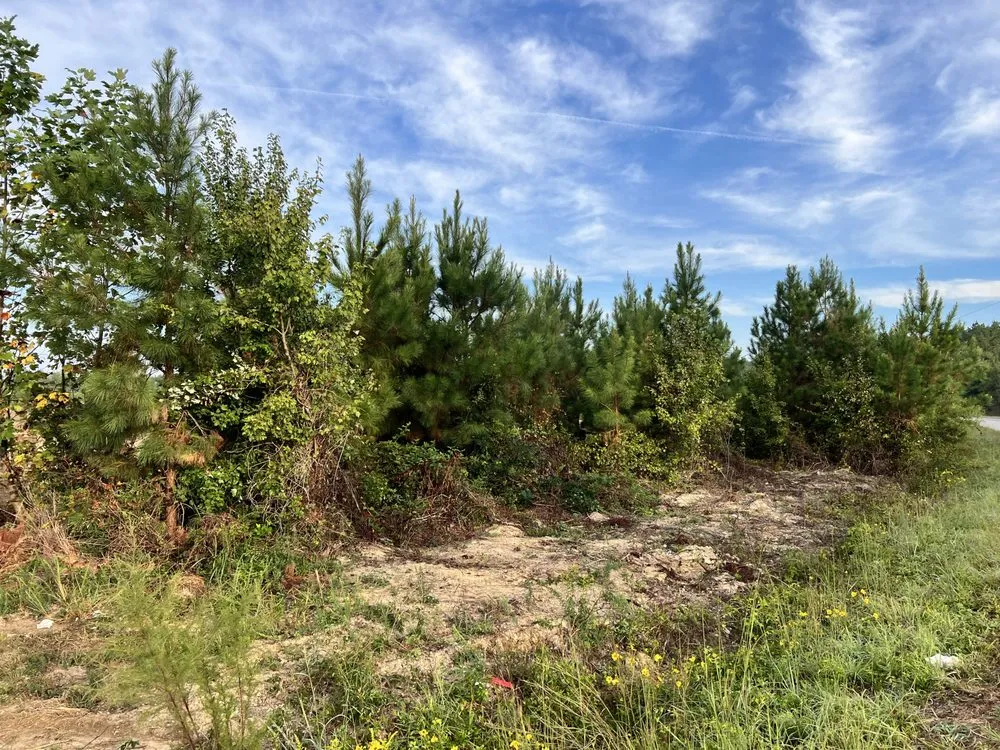 Local residential landscaping with custom design in Midlothian, VA by Grunzen Farms & Land Mangement