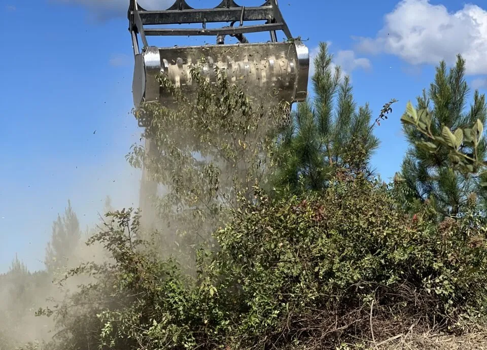 Trusted landscape installation for outdoor upgrades in Midlothian, VA by Grunzen Farms & Land Mangement