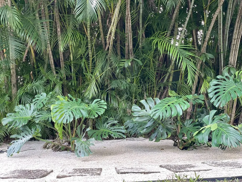 Local lawn care service with custom design in Aventura, FL by Grupo Aveille Landscape