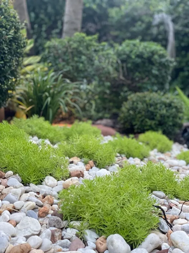Reliable landscaping services with custom design in Aventura, FL by Grupo Aveille Landscape