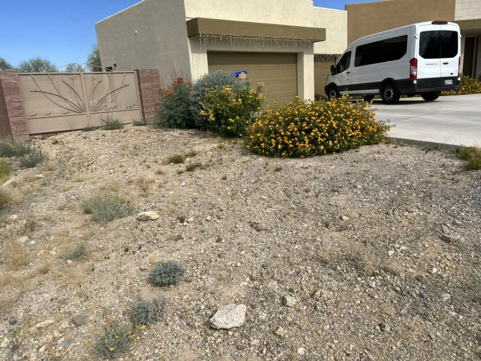 Top-rated yard maintenance in Tucson, AZ by Grupo HIZA Hardscaping