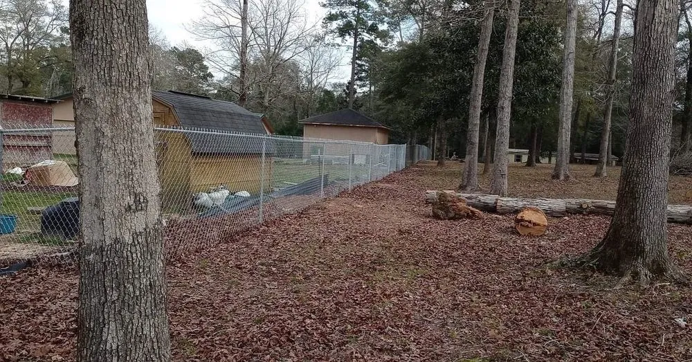 Expert outdoor landscaping for year-round maintenance across Silsbee, TX - Grut Fencing