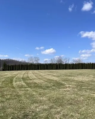 Gruvers Custom Solutions