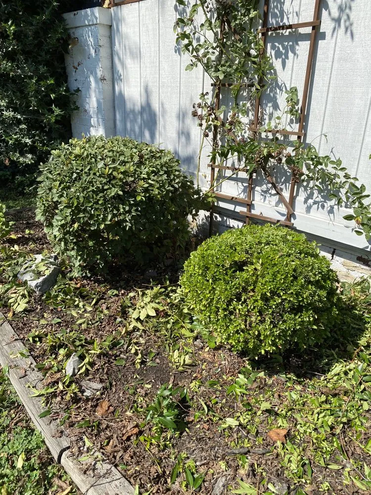 Local lawn mowing service in Chattanooga, TN - Gryphon Lawncare and Landscaping