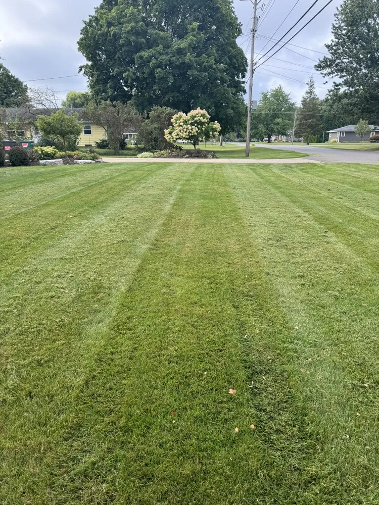 Trusted yard cleanup service in Allendale, MI by Grzy lawn care