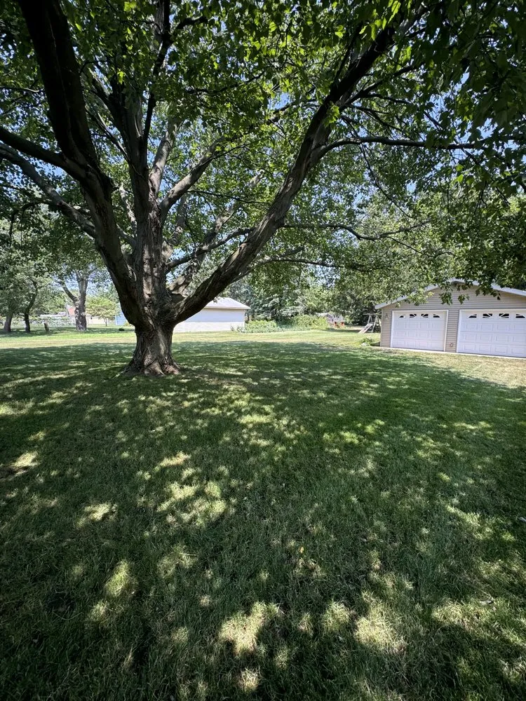 Expert outdoor landscaping in Allendale, MI by Grzy lawn care