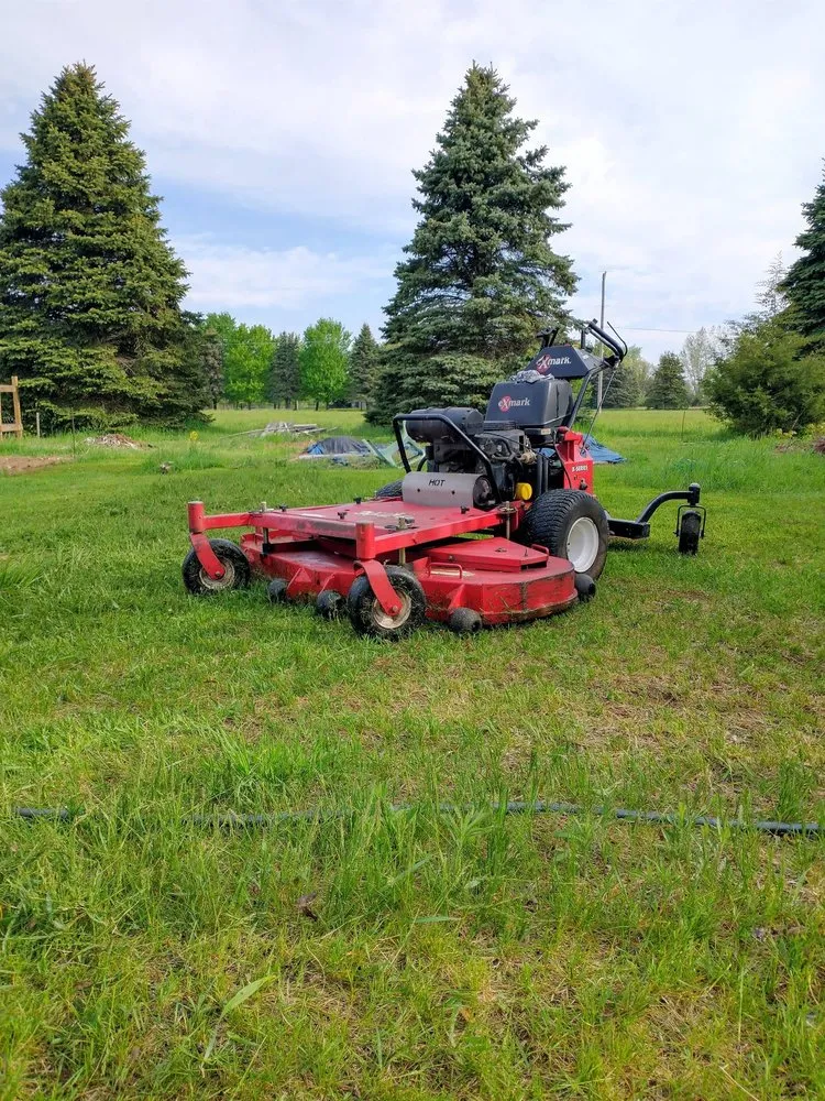 Local yard cleanup service for outdoor upgrades in Allendale, MI by Grzy lawn care