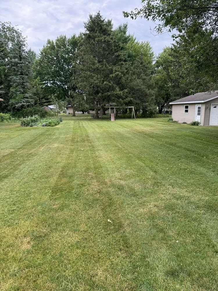 Custom lawn care service experts serving Allendale, MI - Grzy lawn care