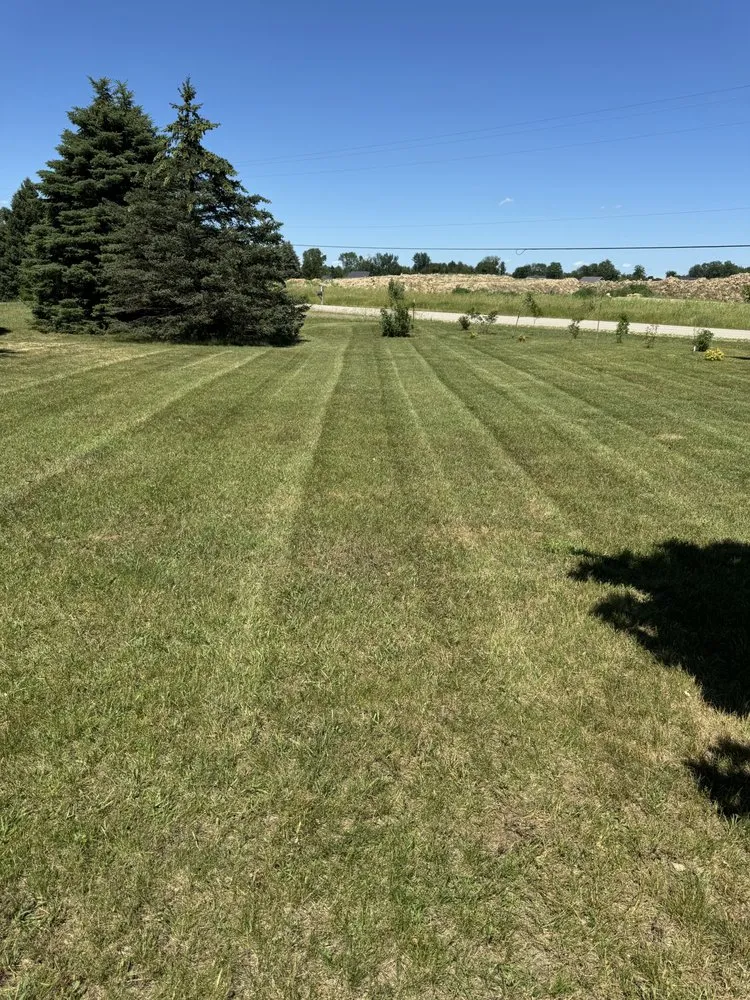 Expert residential landscaping experts serving Allendale, MI - Grzy lawn care