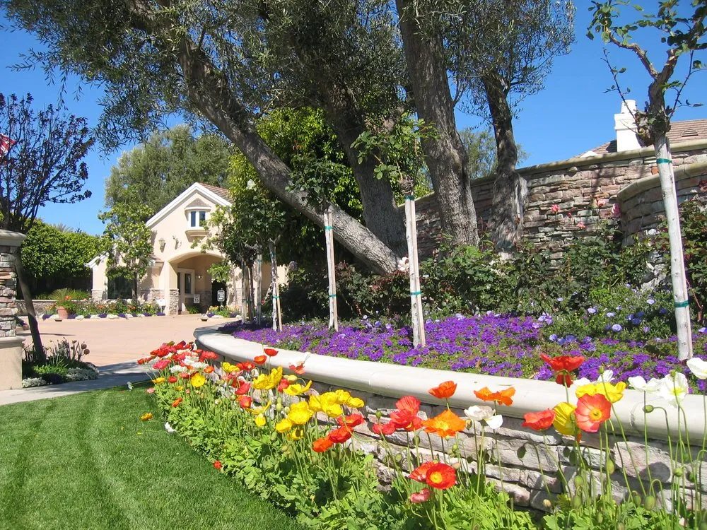 Affordable yard cleanup service in Carson, CA by GS Brothers