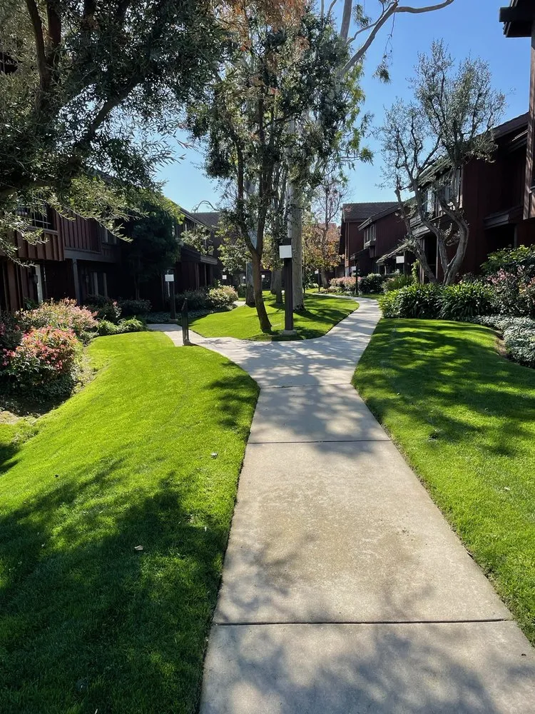 Affordable residential landscaping experts serving Carson, CA - GS Brothers