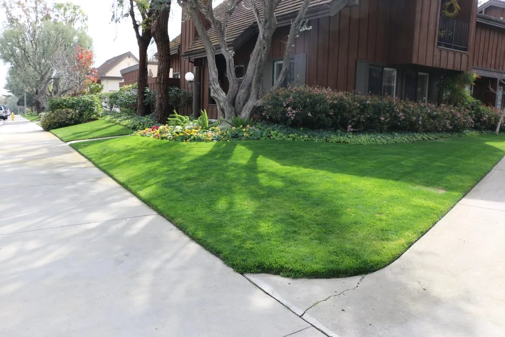Professional landscape installation in Carson, CA by GS Brothers
