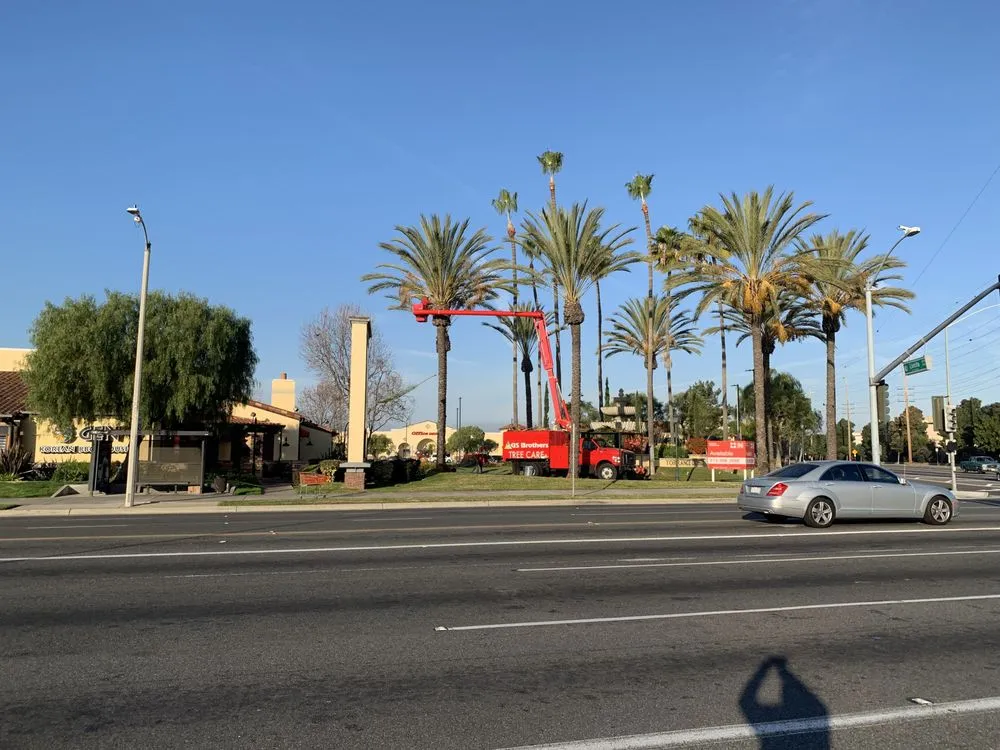 Professional outdoor landscaping in Carson, CA - GS Brothers