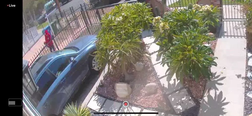 Top-rated landscape design in Carson, CA by GS Brothers