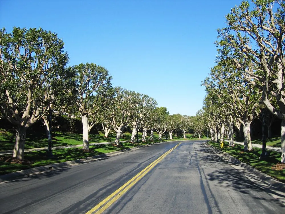 Custom lawn mowing service for outdoor upgrades across Carson, CA - GS Brothers