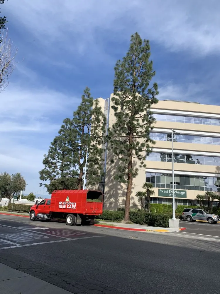 Custom lawn care service in Carson, CA by GS Brothers