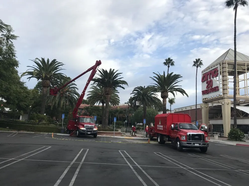 Reliable garden landscaping for beautiful yards in Carson, CA by GS Brothers