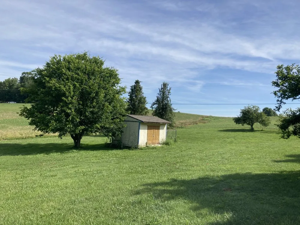 Affordable yard cleanup service for residential properties in Graham, NC by G&S Crafty Cutz