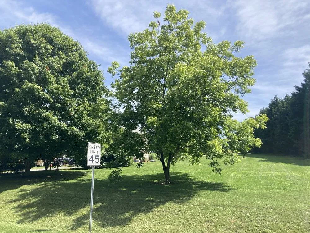 Reliable outdoor landscaping near you in Graham, NC by G&S Crafty Cutz