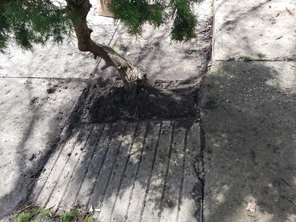 Professional lawn mowing service experts serving Gahanna, OH - G's Cuttin Up