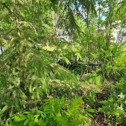 Trusted landscaping services near you in North Pole, AK by G's Groundskeeping and Maintenance