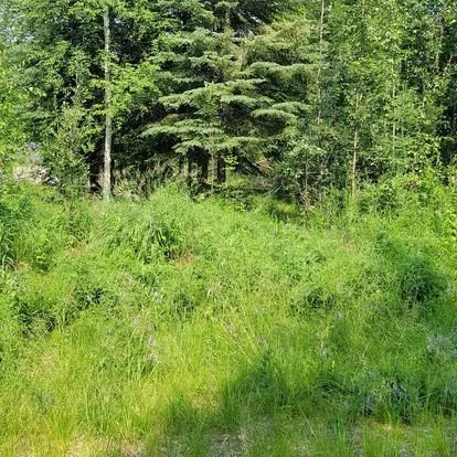 Professional landscape design in North Pole, AK - G's Groundskeeping and Maintenance