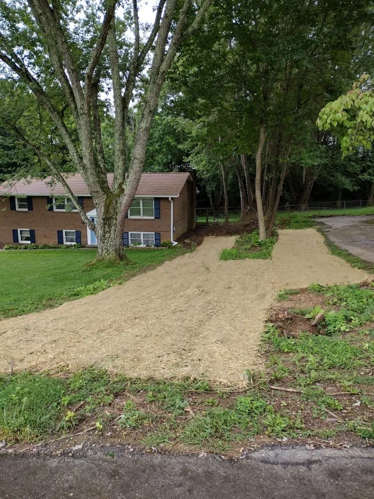 Expert yard cleanup service in Kingsport, TN - G&S Handyman Services