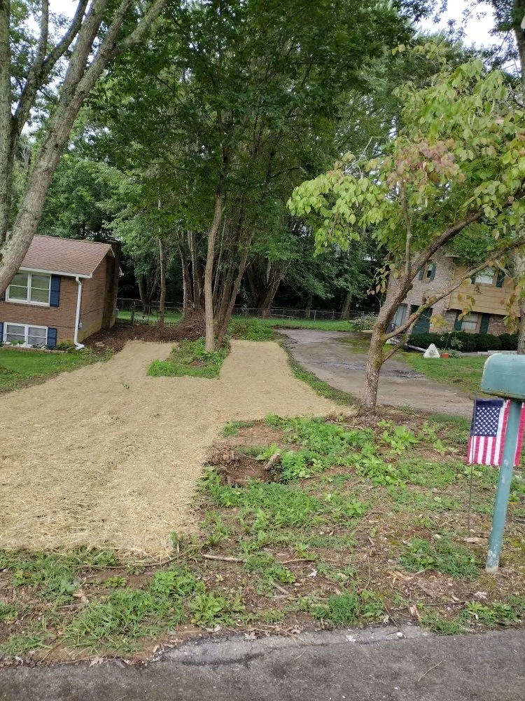 Local lawn mowing service in Kingsport, TN by G&S Handyman Services