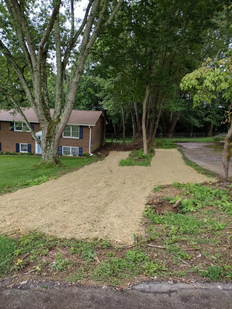 Custom outdoor landscaping near you across Kingsport, TN - G&S Handyman Services