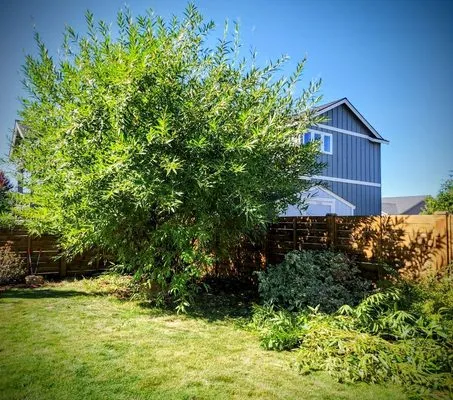 G&S Home And Landscaping Specialists