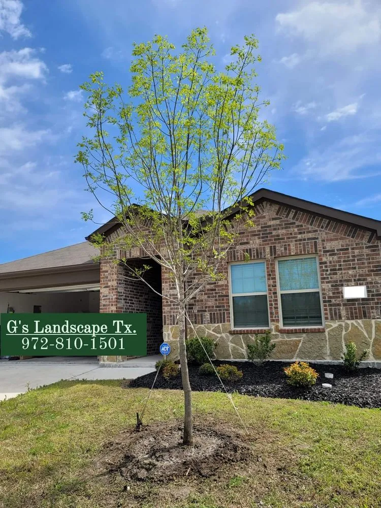 Professional lawn care service for homes in Forney, TX by G's Landscape