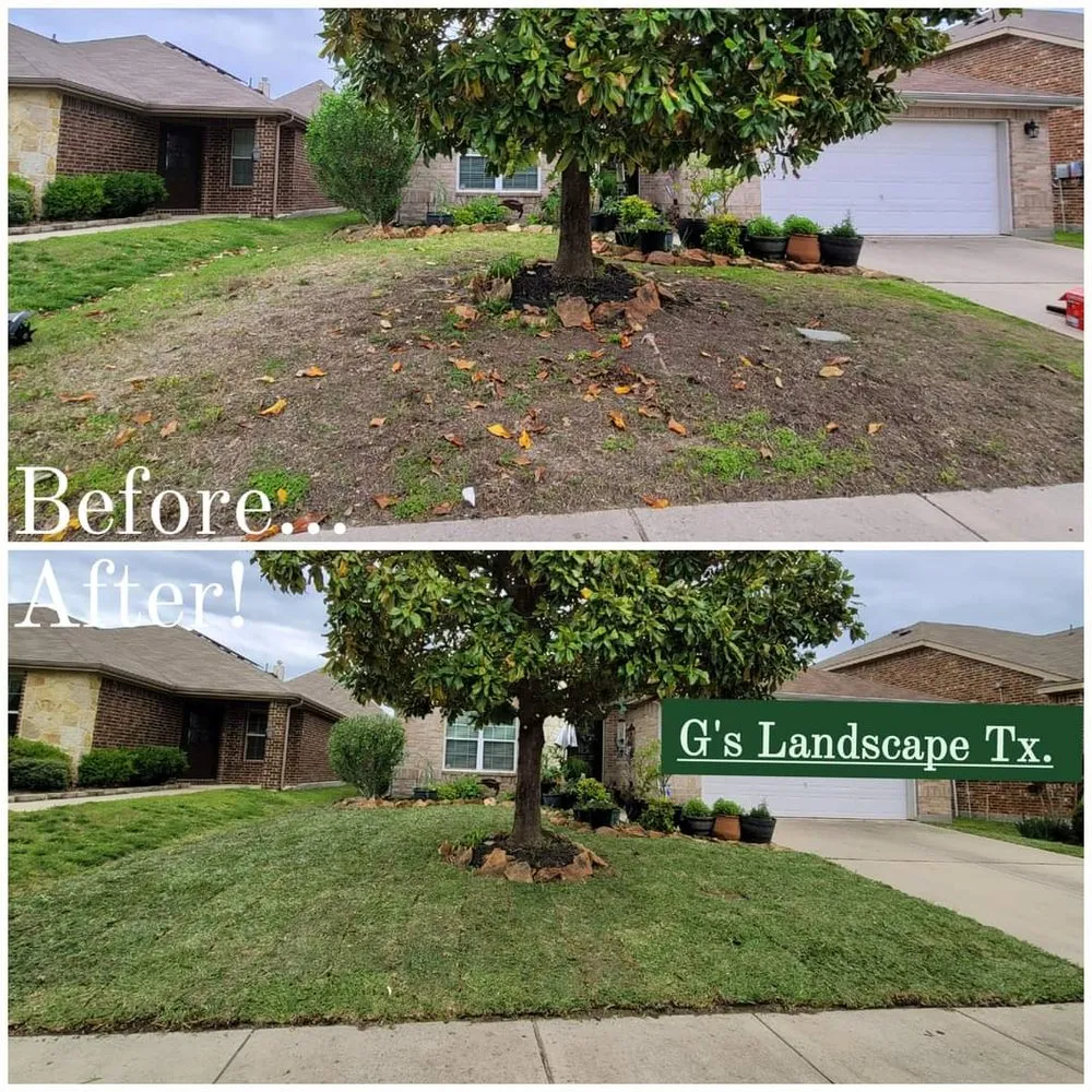 Reliable yard cleanup service near you in Forney, TX by G's Landscape
