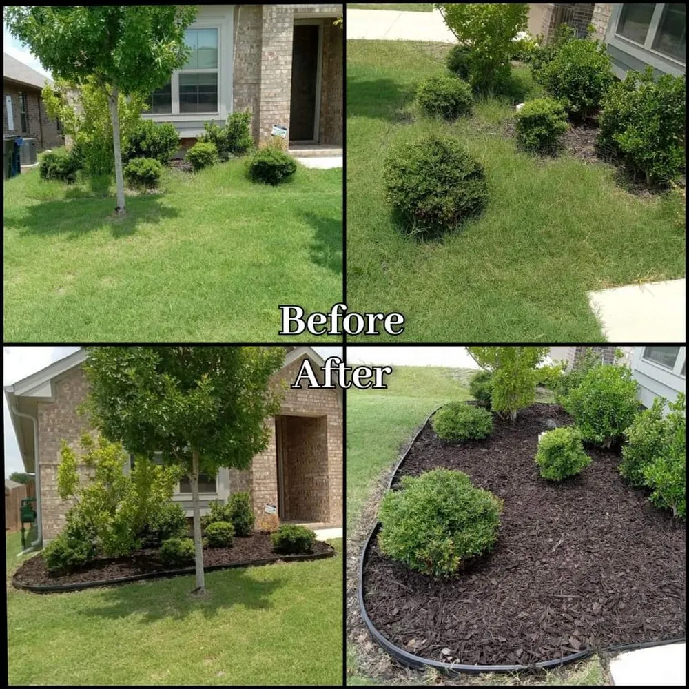 Affordable yard cleanup service experts serving Forney, TX - G's Landscape