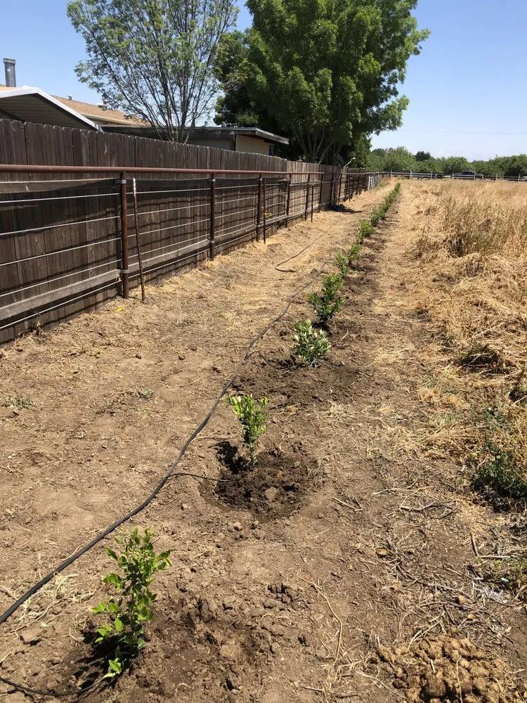 Reliable landscaping services for outdoor upgrades across Hanford, CA - G's Landscape