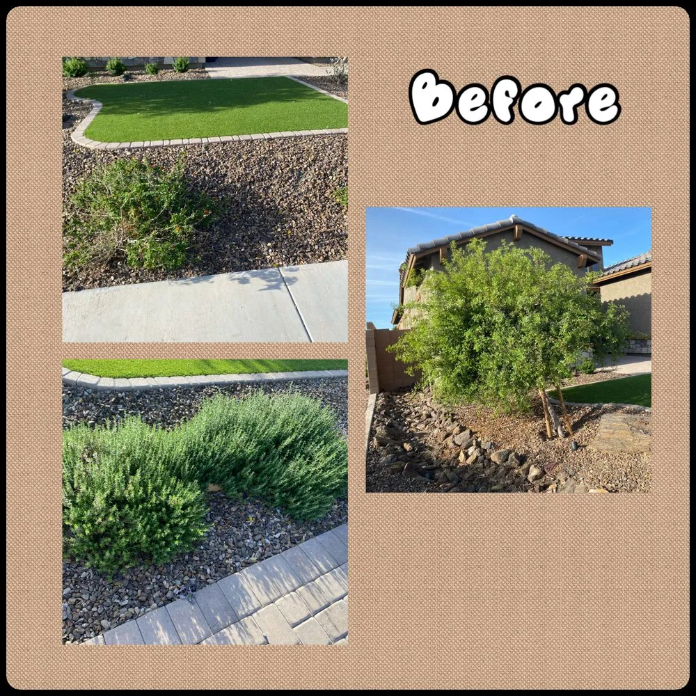 Custom yard cleanup service near you in Peoria, AZ by Gs Landscape