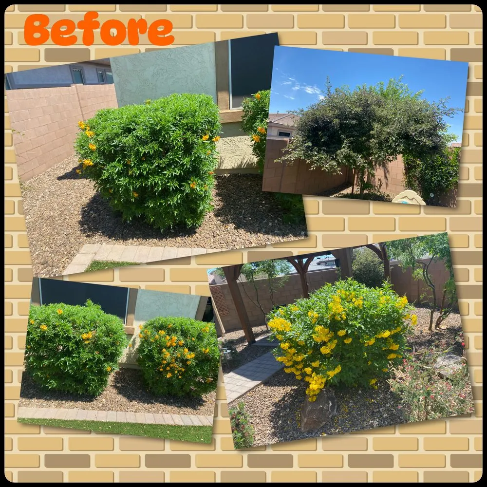 Trusted lawn care service in Peoria, AZ - Gs Landscape