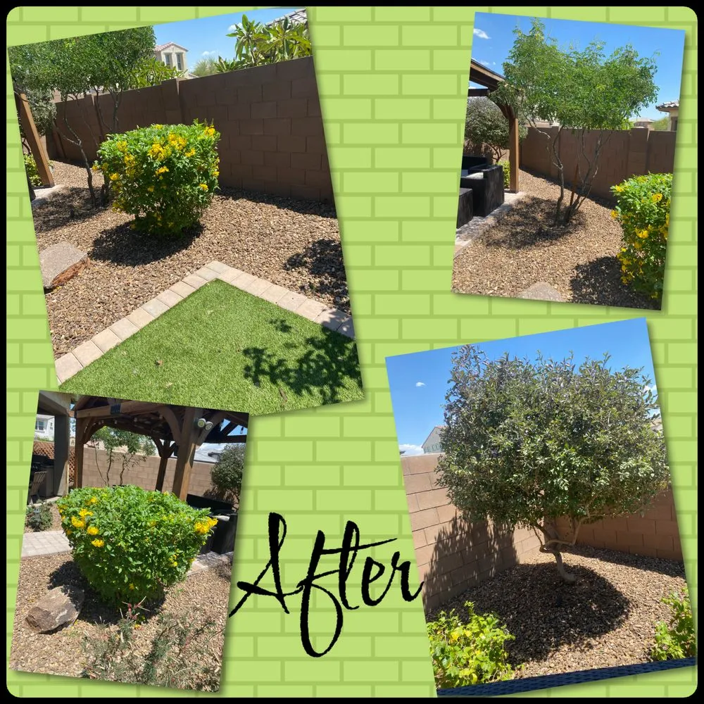 Top-rated residential landscaping in Peoria, AZ by Gs Landscape
