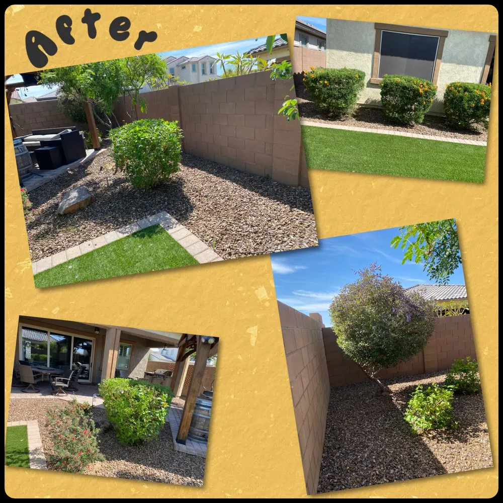 Top-rated yard cleanup service in Peoria, AZ by Gs Landscape