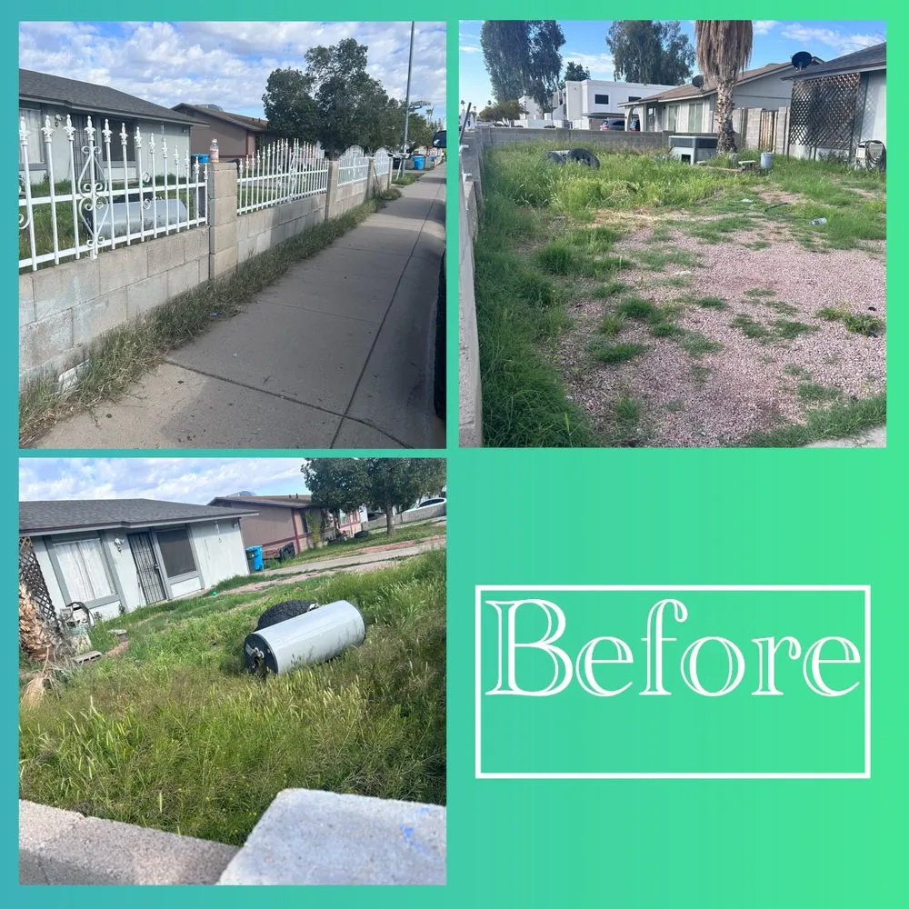 Expert landscaping services for residential properties in Peoria, AZ by Gs Landscape