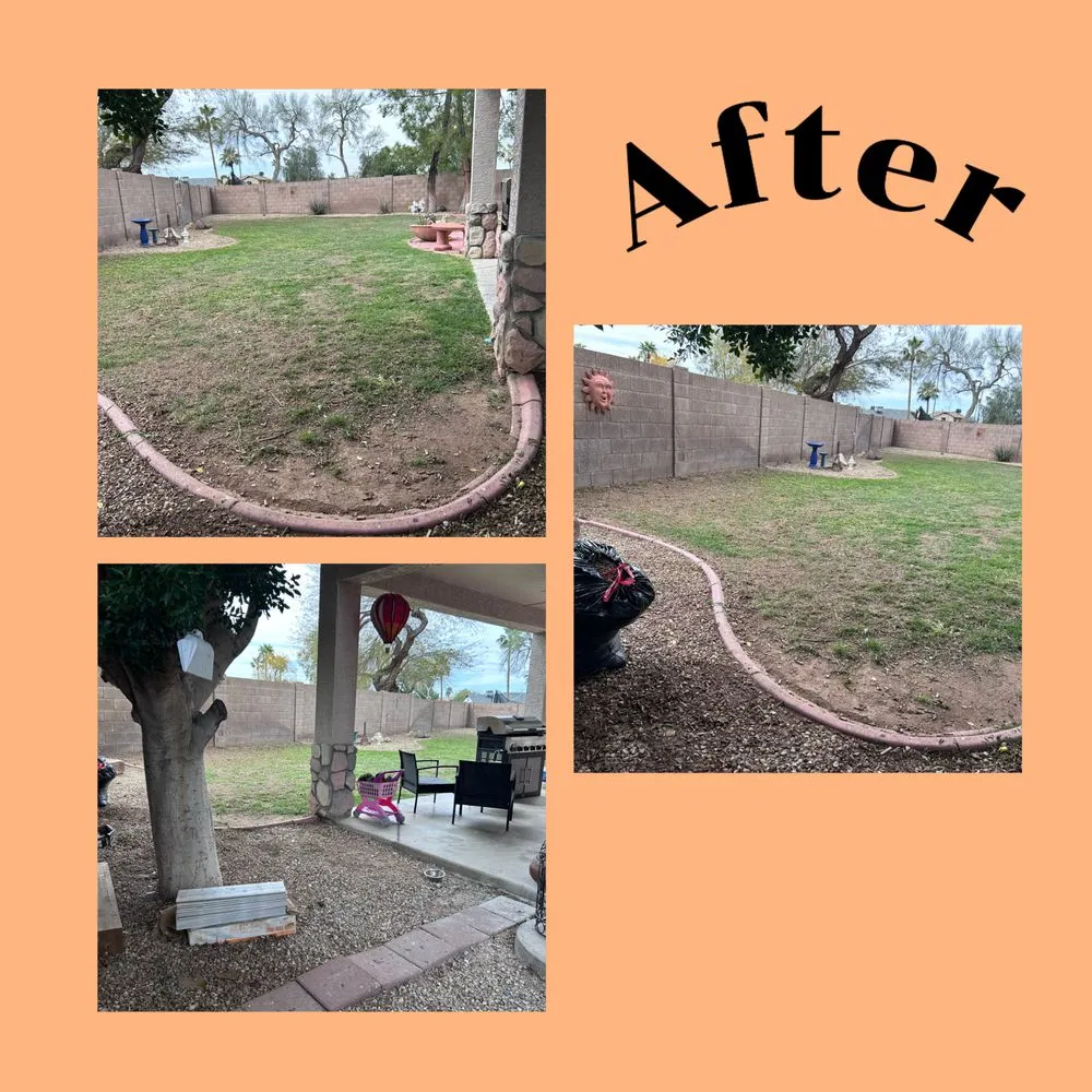 Expert residential landscaping in Peoria, AZ by Gs Landscape