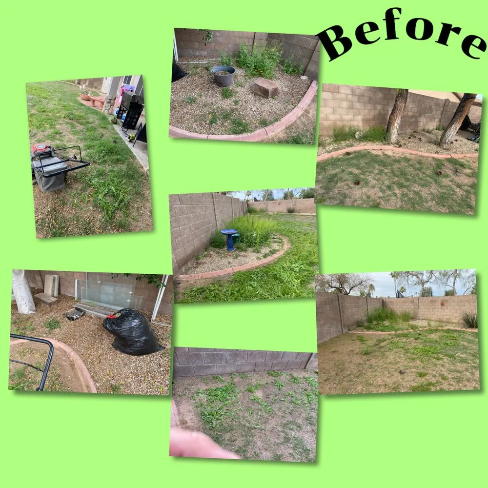 Local outdoor landscaping experts serving Peoria, AZ - Gs Landscape