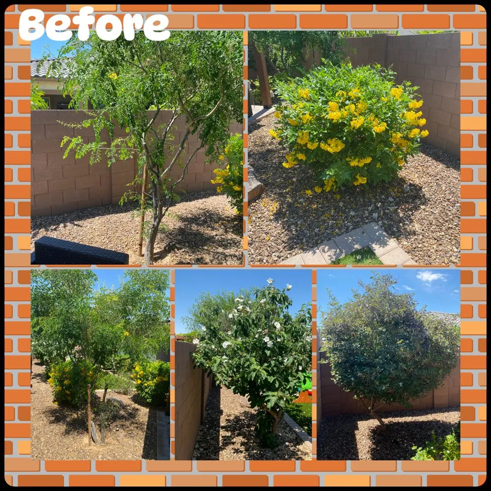 Trusted landscape design near you in Peoria, AZ by Gs Landscape