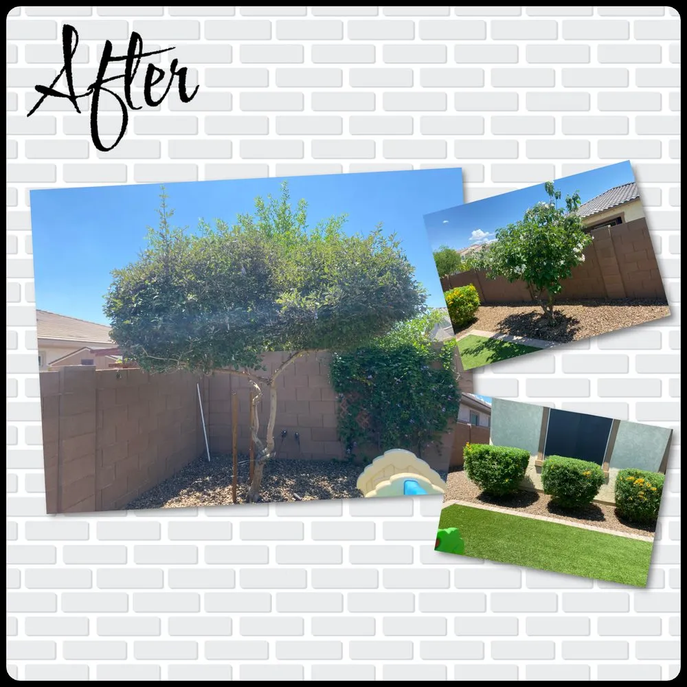 Local landscape design for year-round maintenance in Peoria, AZ by Gs Landscape