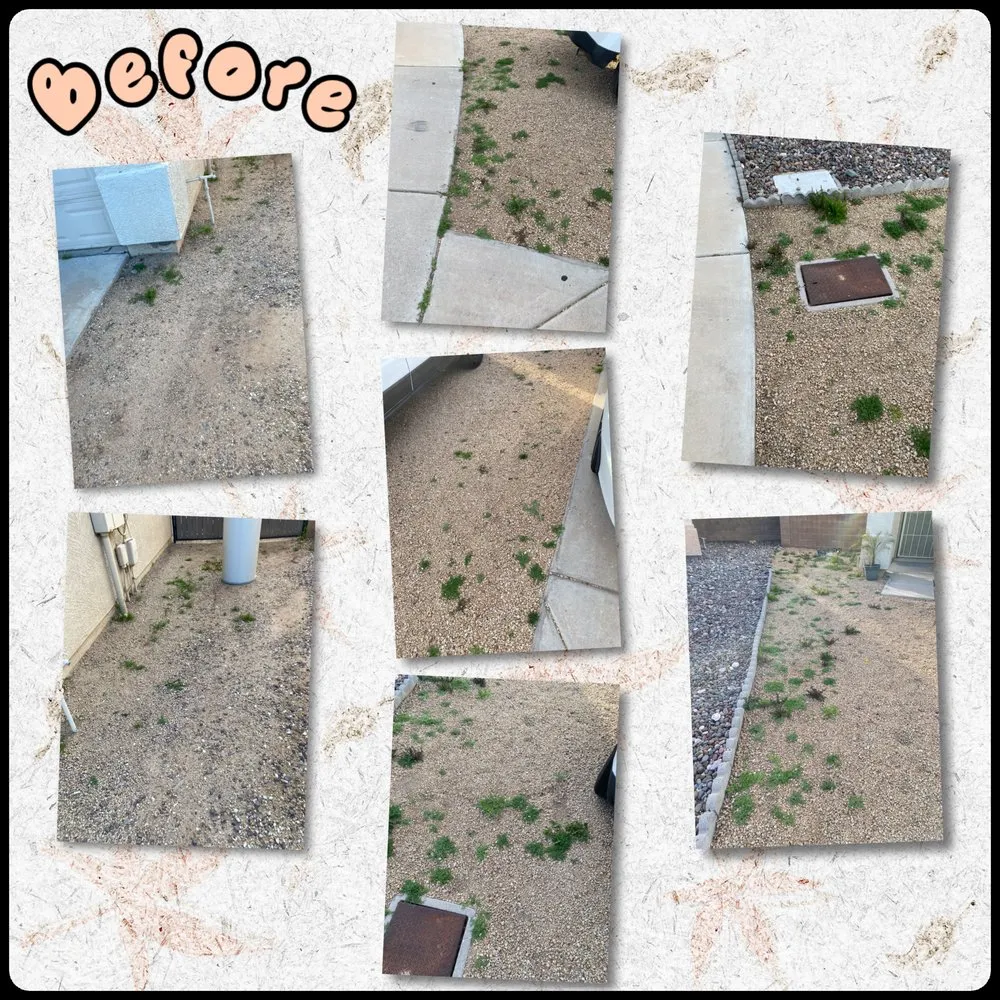 Affordable yard maintenance for year-round maintenance in Peoria, AZ by Gs Landscape