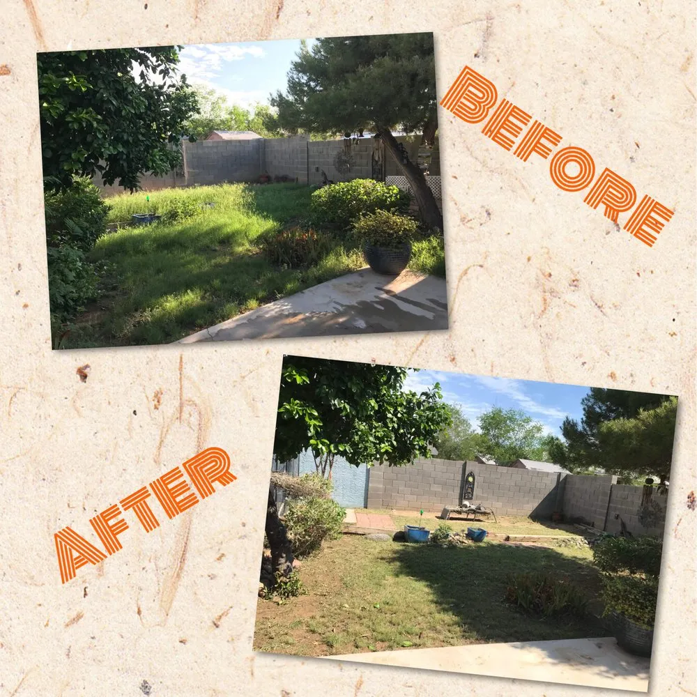 Custom lawn care service experts serving Peoria, AZ - Gs Landscape