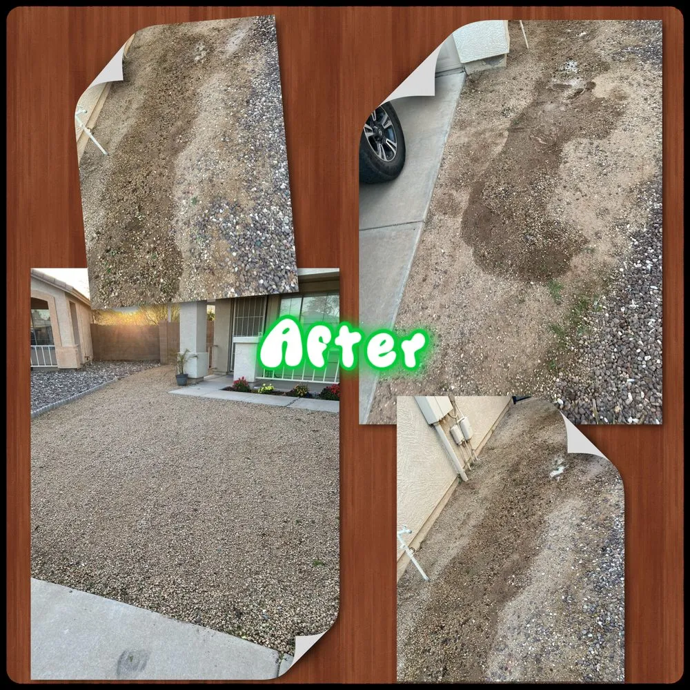 Affordable lawn mowing service in Peoria, AZ by Gs Landscape