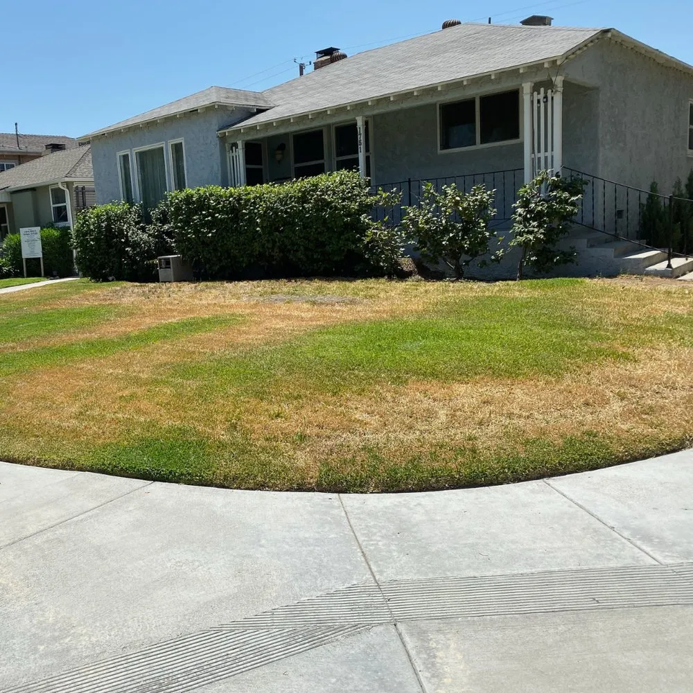 Custom yard maintenance for year-round maintenance in Santa Clarita, CA by GS Landscape